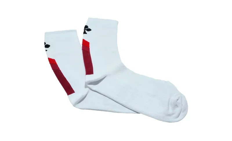 2019 Colnago Cycling Socks in White