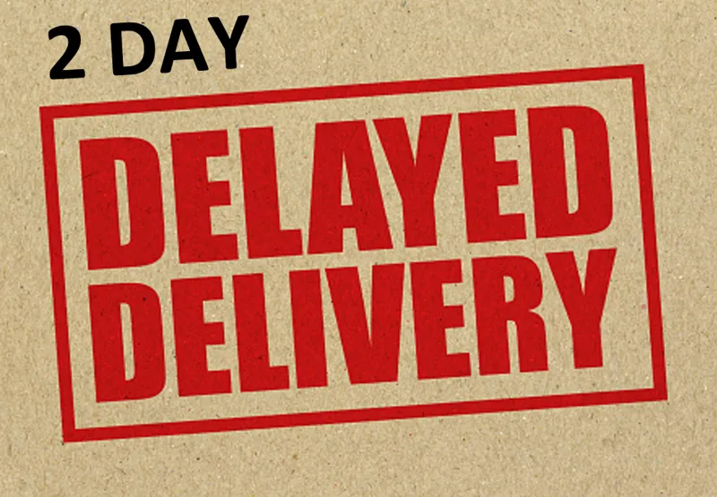 2 day delivery delay